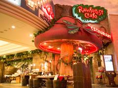 レインフォレストカフェ・トーキョー （Rainforest cafe）