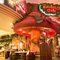 レインフォレストカフェ・トーキョー （Rainforest cafe） の写真 (1)