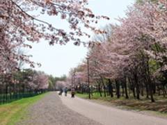 旭川子連れお出かけおすすめ 人気公園特集10選 子連れのおでかけ 子どもの遊び場探しならコモリブ 旭川子連れお出かけおすすめ 人気公園特集10選 子連れのおでかけ 子どもの遊び場探しならコモリブ
