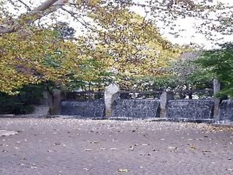 高円寺周辺の子連れお出かけコース 子連れのおでかけ 子どもの遊び場探しならコモリブ 高円寺周辺の子連れお出かけコース 子連れのおでかけ 子どもの遊び場探しならコモリブ