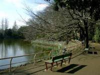 武蔵関公園 の写真 (2)