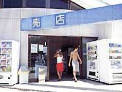 子供と楽しむ関東の海水浴場選 家族連れで賑わう磯遊びスポットや子連れに穴場な所も 2 子連れのおでかけ 子どもの遊び場探しならコモリブ 子供と楽しむ関東の海水浴場選 家族連れで賑わう磯遊びスポットや子連れに穴場な所も 2 子連れのおでかけ 子どもの遊び場探しならコモリブ