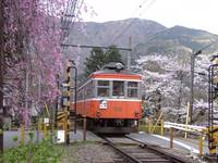 箱根登山ケーブルカー の写真 (1)