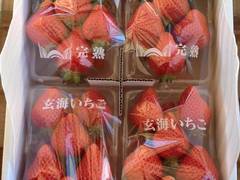 玄海いちご狩り農園 子連れのおでかけ 子どもの遊び場探しならコモリブ 玄海いちご狩り農園 子連れのおでかけ 子どもの遊び場探しならコモリブ