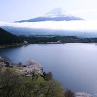 田貫湖 の写真 (3)