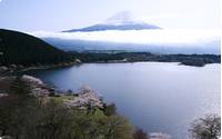 田貫湖 の写真 (3)
