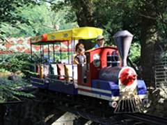 三島市立公園 楽寿園 子連れのおでかけ 子どもの遊び場探しならコモリブ 三島市立公園 楽寿園 子連れのおでかけ 子どもの遊び場探しならコモリブ