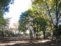 中央緑地公園 の写真