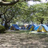 上大島キャンプ場 の写真 (3)