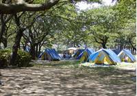 上大島キャンプ場 の写真 (3)