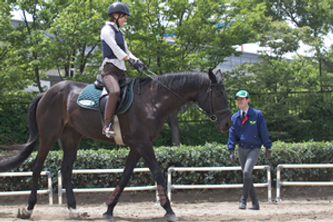 東京で乗馬体験できる場所12選 都内でポニーや馬に乗るスポットや馬事公苑もご紹介 子連れのおでかけ 子どもの遊び場探しならコモリブ