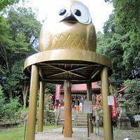 鷲子山上神社（ふくろうの神社） の写真 (3)