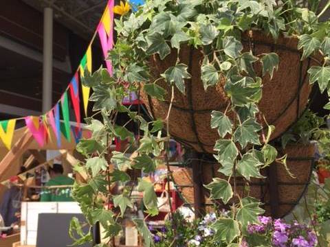 アミュプラザ鹿児島 子連れのおでかけ 子どもの遊び場探しならコモリブ アミュプラザ鹿児島 子連れのおでかけ 子どもの遊び場探しならコモリブ