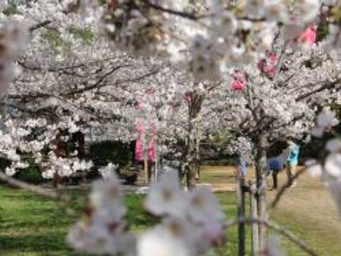 延命公園 子連れのおでかけ 子どもの遊び場探しならコモリブ 延命公園 子連れのおでかけ 子どもの遊び場探しならコモリブ