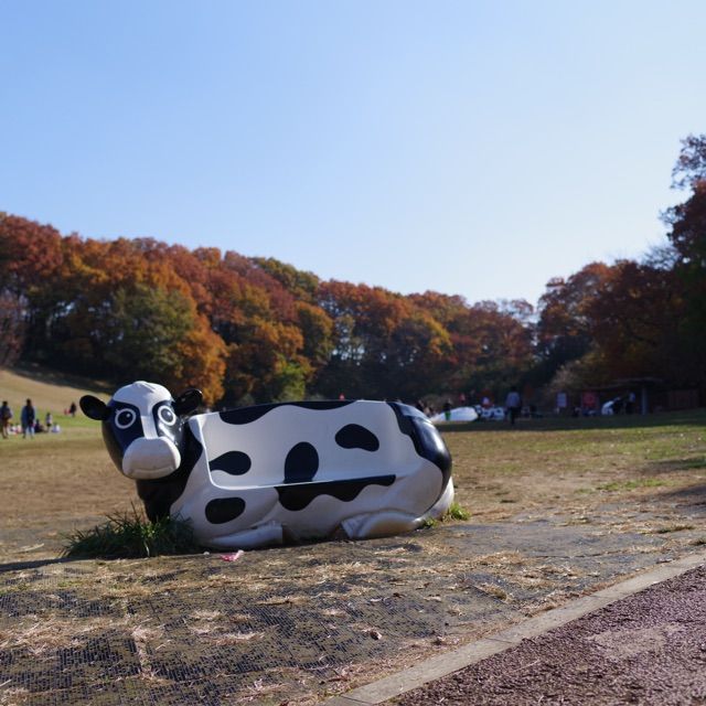 神奈川のおすすめ公園ランキング30 子供が楽しめる遊具の多い公園や大きい公園も 子連れのおでかけ 子どもの遊び場探しならコモリブ