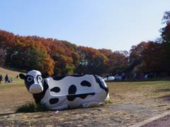 神奈川のおすすめ公園ランキング30！子供が楽しめる遊具の多い公園や大きい公園も