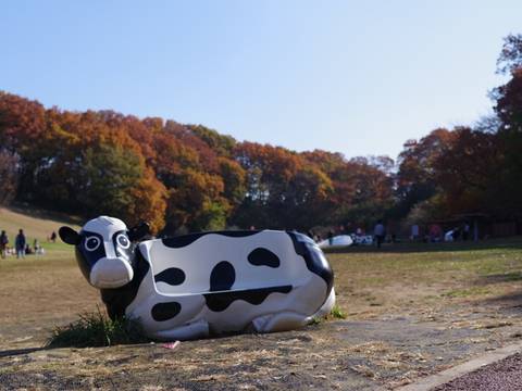 神奈川県の子供と楽しめる遊び場30選 家族のお出かけにおすすめなイベント開催施設も 子連れのおでかけ 子どもの遊び場探しならコモリブ 神奈川県の子供と楽しめる遊び場30選 家族のお出かけにおすすめなイベント開催施設も 子連れのおでかけ 子どもの遊び場探しならコモリブ