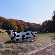 神奈川のおすすめ公園ランキング30！子供が楽しめる遊具の多い公園や大きい公園も