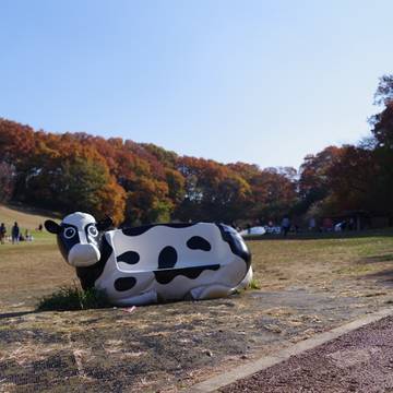 神奈川のおすすめ公園ランキング30 子供が楽しめる遊具の多い公園や大きい公園も 子連れのおでかけ 子どもの遊び場探しならコモリブ