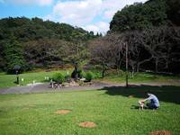 桜ヶ丘公園 の写真 (2)