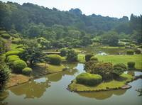 小石川植物園 の写真