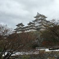 たくろうたさんが撮った 姫路城 の写真