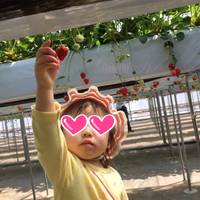 苺のマルシェ の写真 (1)