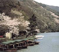 嵐山公園 の写真 (3)