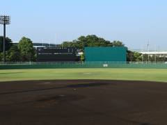 海老名運動公園 子連れのおでかけ 子どもの遊び場探しならコモリブ 海老名運動公園 子連れのおでかけ 子どもの遊び場探しならコモリブ