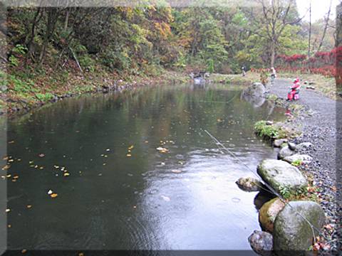 宮城の子供と楽しむ釣り堀10選 釣った魚をその場で食べれる所や仙台秋保周辺の釣り堀も 子連れのおでかけ 子どもの遊び場探しならコモリブ