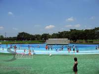 大和田公園プール の写真 (1)