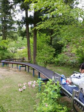 真木山中央公園 まぎやまちゅうおうこうえん 子連れのおでかけ 子どもの遊び場探しならコモリブ