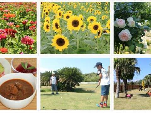 ポピーの里 館山ファミリーパーク 子連れのおでかけ 子どもの遊び場探しならコモリブ
