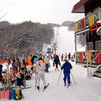 栗山町スキー場 の写真 (1)
