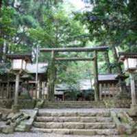 天岩戸神社（あまのいわとじんじゃ） の写真 (3)