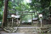天岩戸神社（あまのいわとじんじゃ） の写真 (3)