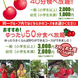 山梨の子連れokな桃狩り農園10選 お土産付きや食べ放題も Comolib Magazine