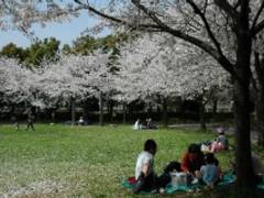 出羽公園 子連れのおでかけ 子どもの遊び場探しならコモリブ 出羽公園 子連れのおでかけ 子どもの遊び場探しならコモリブ