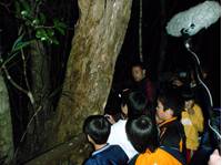 国頭村環境教育センターやんばる学びの森 の写真 (1)