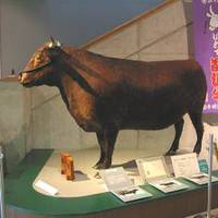 奥州市牛の博物館 の写真 (3)