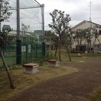 本田東公園 の写真 (2)