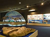 瑞浪市化石博物館 の写真 (3)