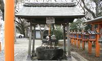 相州春日神社 の写真 (3)
