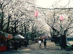 富士森公園