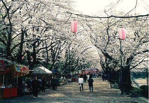 富士森公園 子連れのおでかけ 子どもの遊び場探しならコモリブ