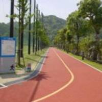 鹿児島ふれあいスポーツランド の写真 (1)