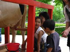 まかいの牧場 子連れのおでかけ 子どもの遊び場探しならコモリブ