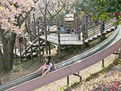 県立三ツ池公園 子連れのおでかけ 子どもの遊び場探しならコモリブ 県立三ツ池公園 子連れのおでかけ 子どもの遊び場探しならコモリブ