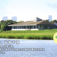 谷津干潟自然観察センター