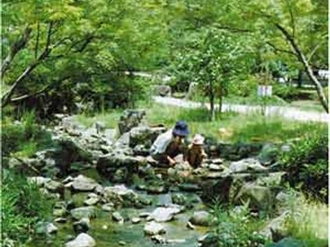 京都のおすすめ子連れ観光40選 家族旅行に人気子供向け施設や赤ちゃん連れが楽しめる所も 子連れのおでかけ 子どもの遊び場探しならコモリブ 京都のおすすめ子連れ観光40選 家族旅行に人気子供向け施設や赤ちゃん連れが楽しめる所も 子連れのおでかけ 子どもの遊び場探しならコモリブ